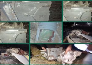 سپاه ثارالله: یک فروند موشک کروز دشمن آمریکایی در آسمان رودبار جنوب رهگیری و منهدم شد
